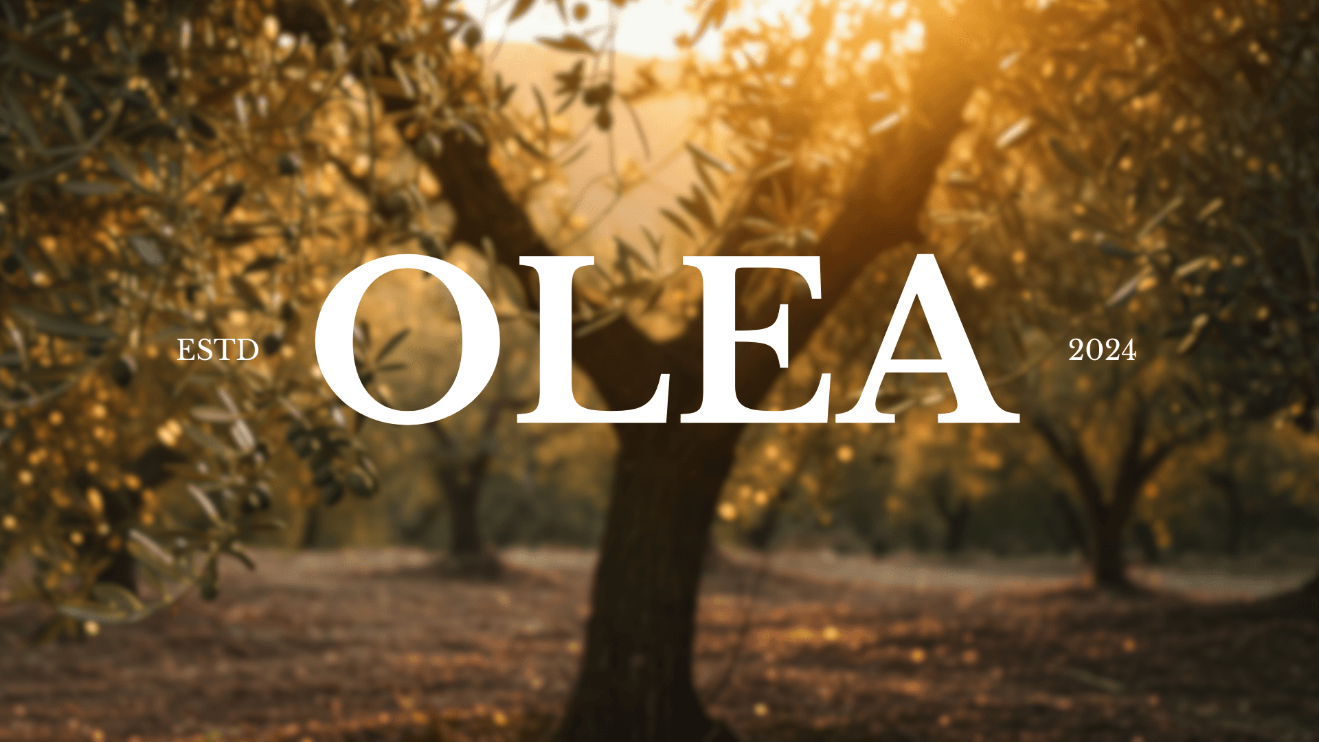 An'dan doğan işler üretiyoruz